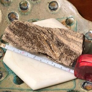 Rare Smoky Quartz Petrified Wood